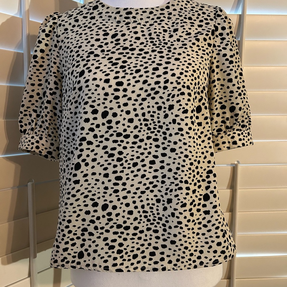 BB Dakota Steve Madden Women's Top
